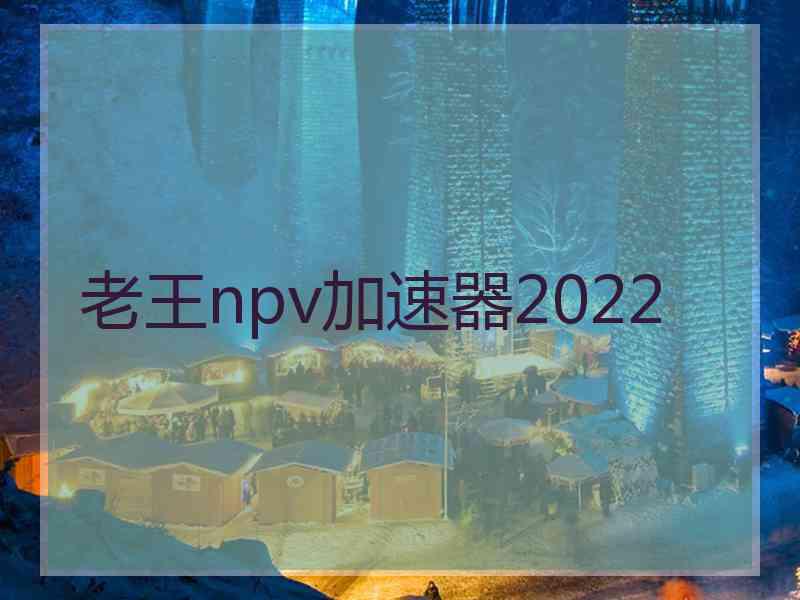 老王npv加速器2022