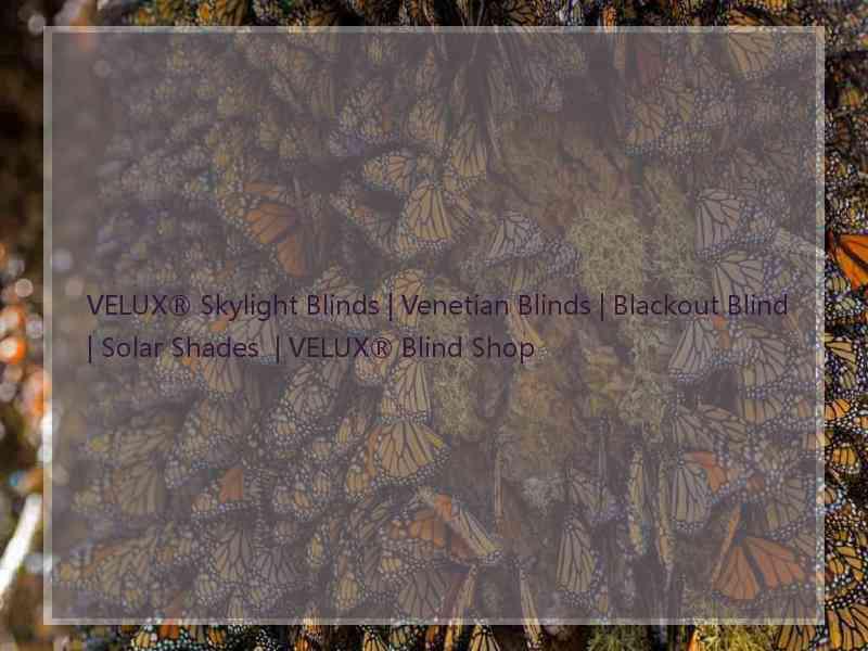 VELUX® Skylight Blinds | Venetian Blinds | Blackout Blind | Solar Shades  | VELUX® Blind Shop