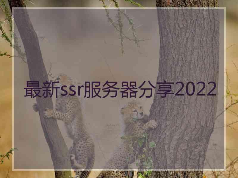 最新ssr服务器分享2022