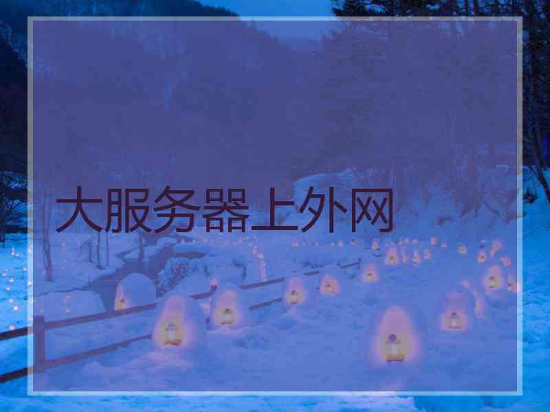 大服务器上外网