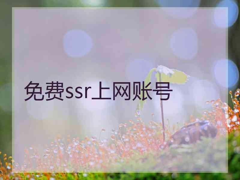 免费ssr上网账号