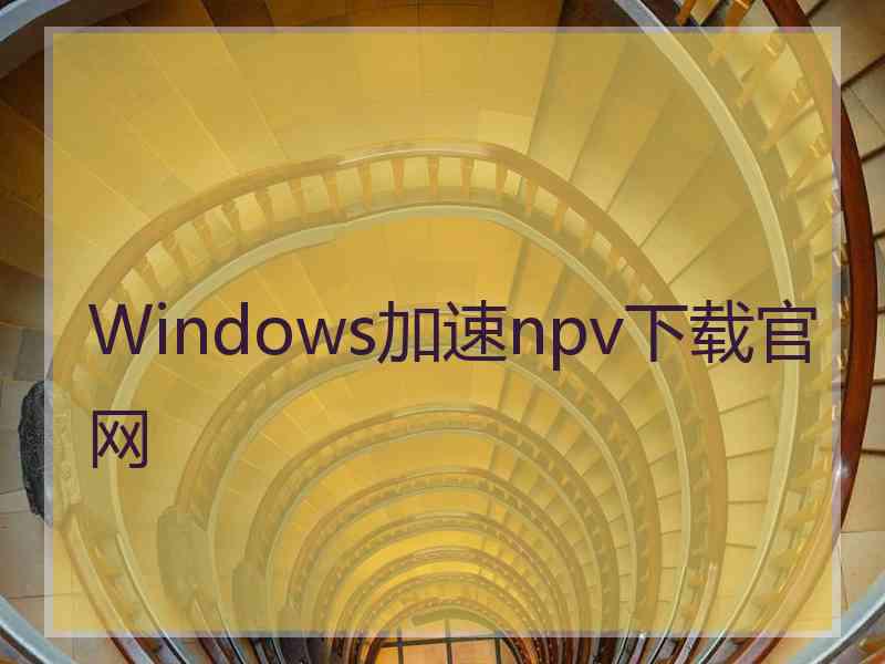 Windows加速npv下载官网