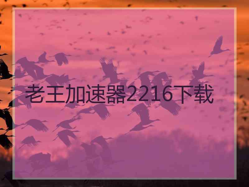 老王加速器2216下载