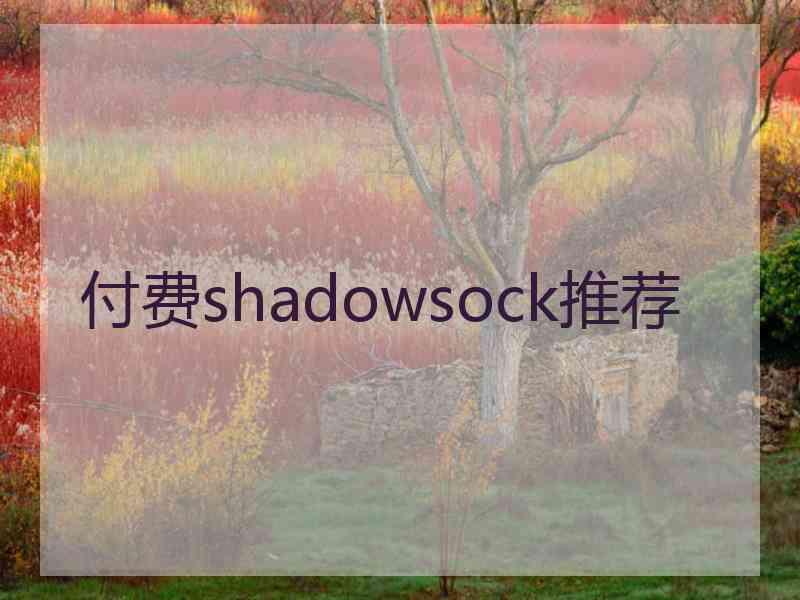 付费shadowsock推荐