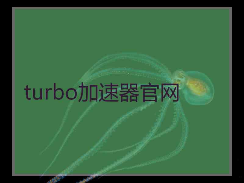 turbo加速器官网