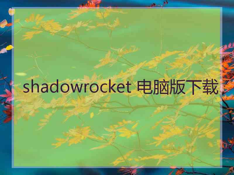 shadowrocket 电脑版下载