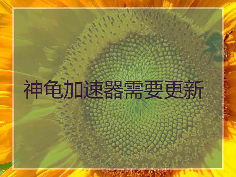 神龟加速器需要更新