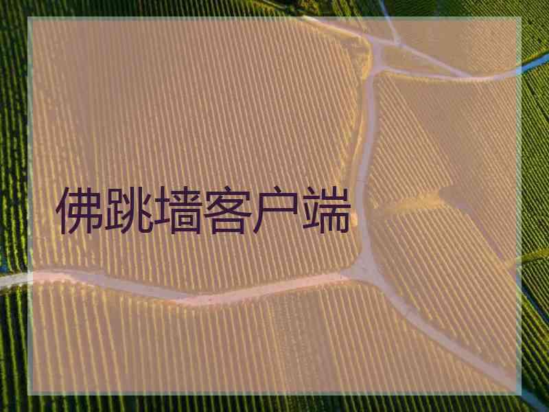 佛跳墙客户端