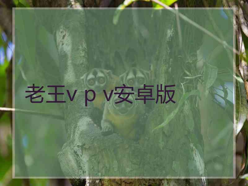 老王v p v安卓版