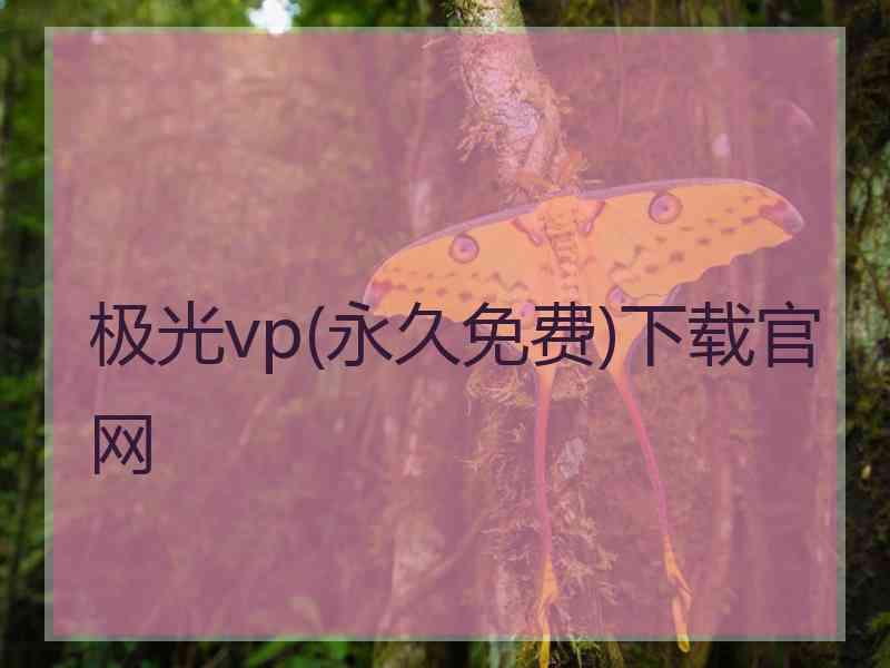 极光vp(永久免费)下载官网