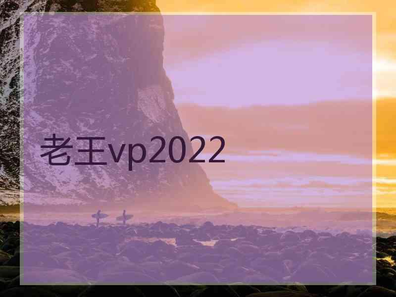 老王vp2022