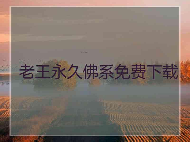 老王永久佛系免费下载