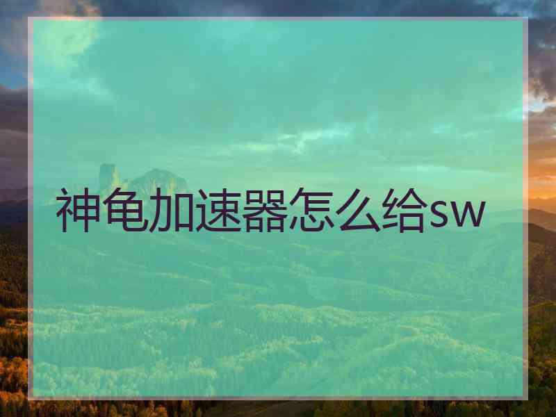 神龟加速器怎么给sw