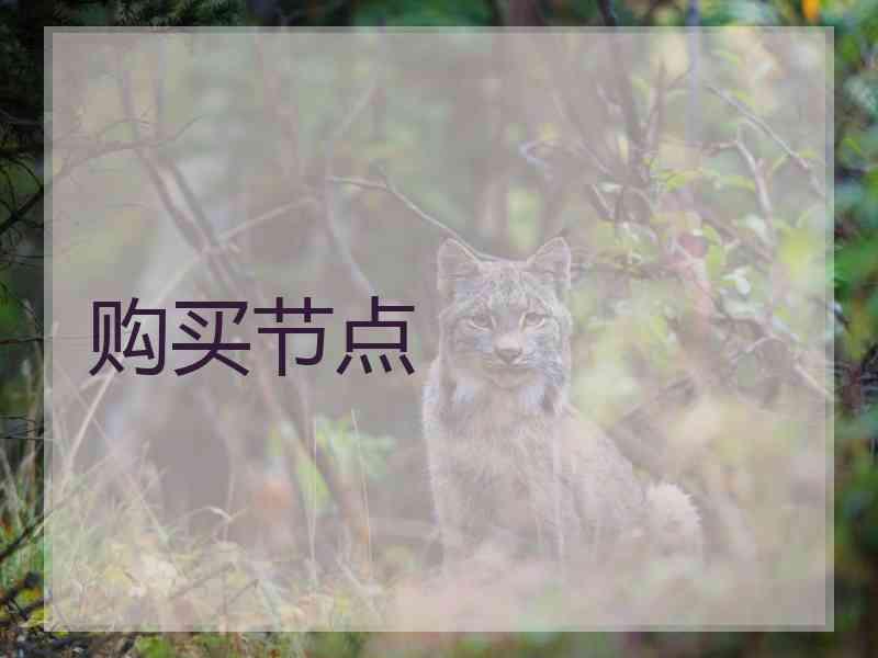 购买节点