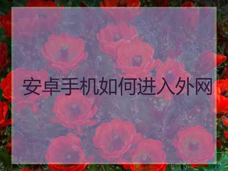 安卓手机如何进入外网