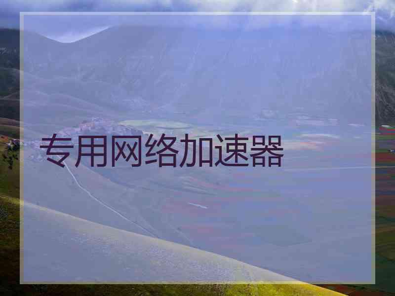 专用网络加速器