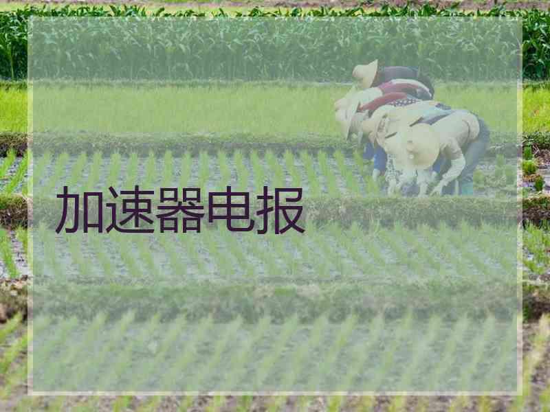 加速器电报