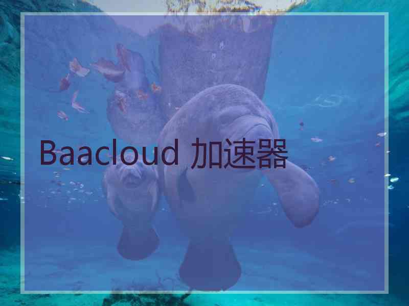 Baacloud 加速器