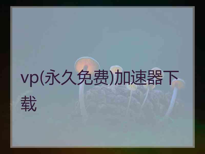 vp(永久免费)加速器下载
