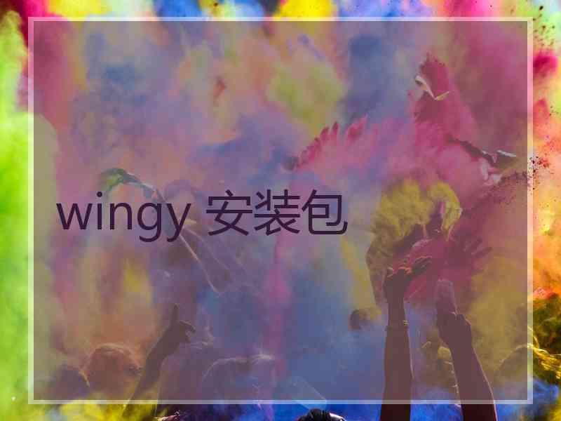 wingy 安装包