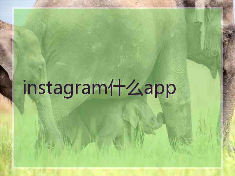 instagram什么app
