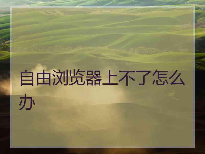 自由浏览器上不了怎么办