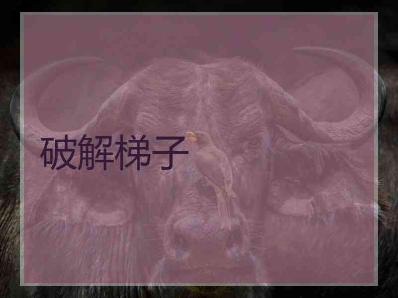 破解梯子