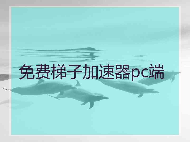 免费梯子加速器pc端