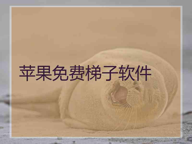 苹果免费梯子软件