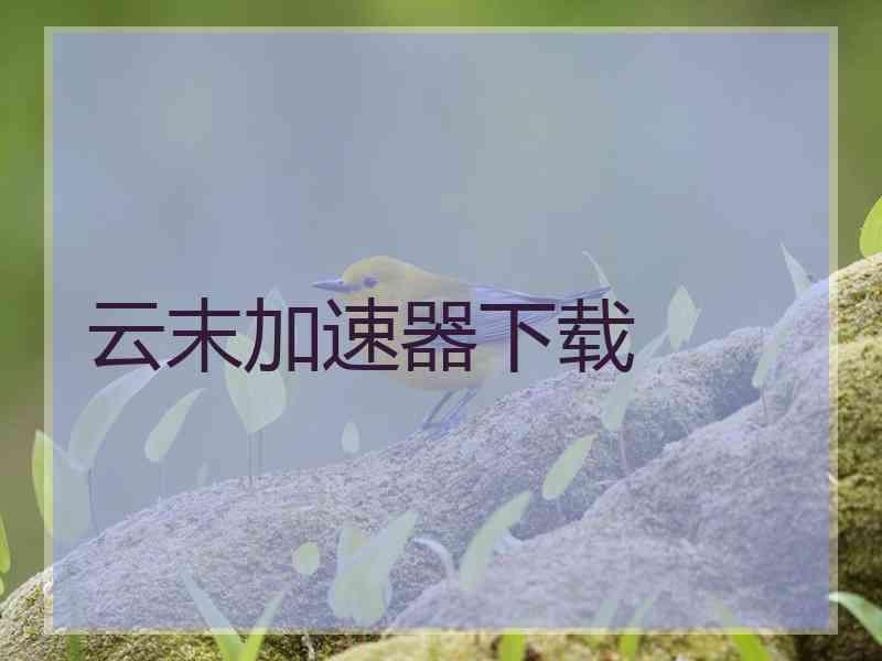 云末加速器下载