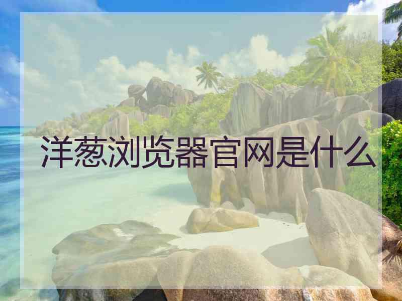 洋葱浏览器官网是什么