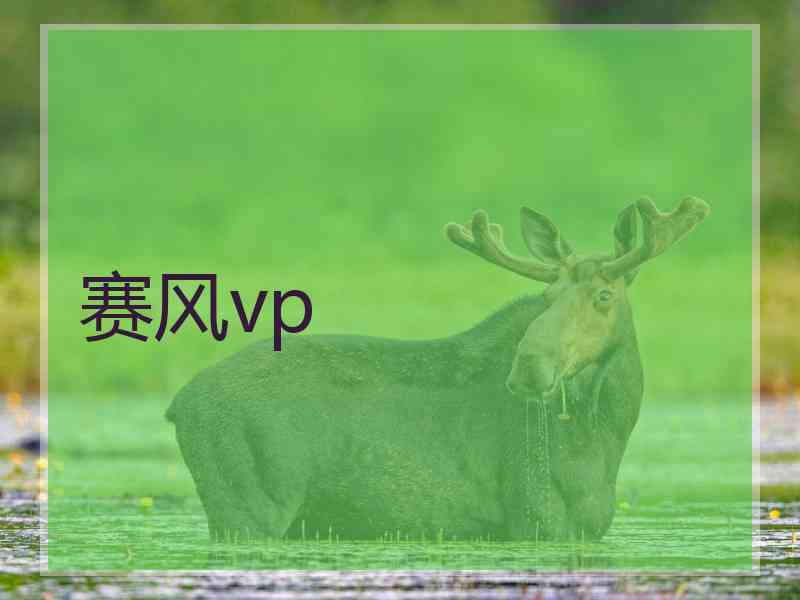 赛风vp