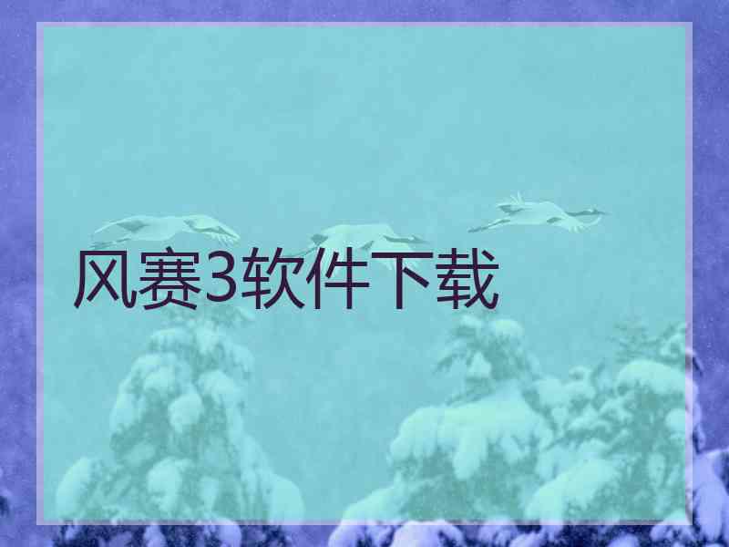 风赛3软件下载