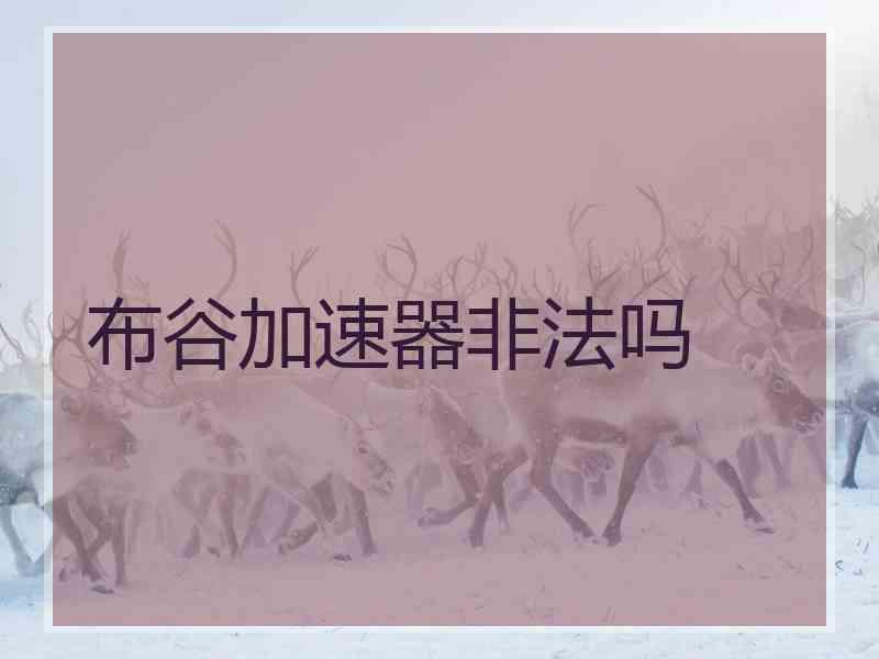 布谷加速器非法吗
