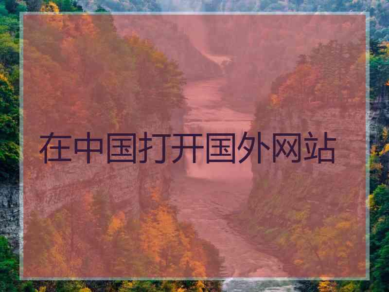 在中国打开国外网站