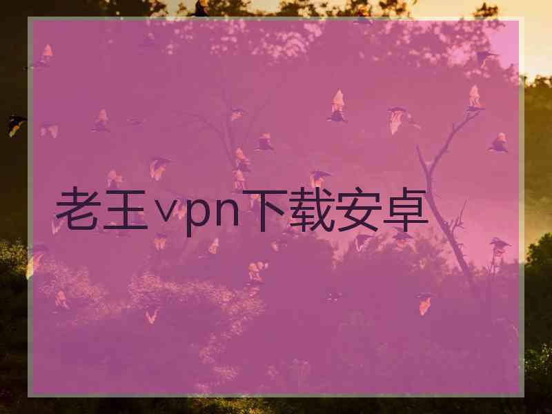 老王∨pn下载安卓