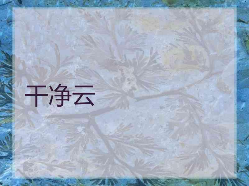 干净云