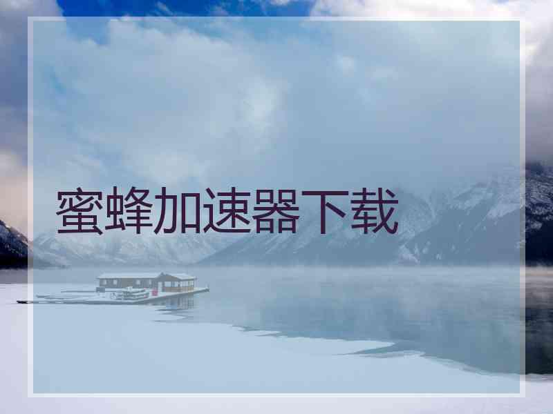 蜜蜂加速器下载