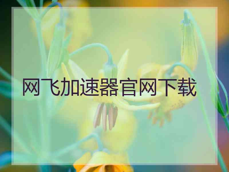 网飞加速器官网下载