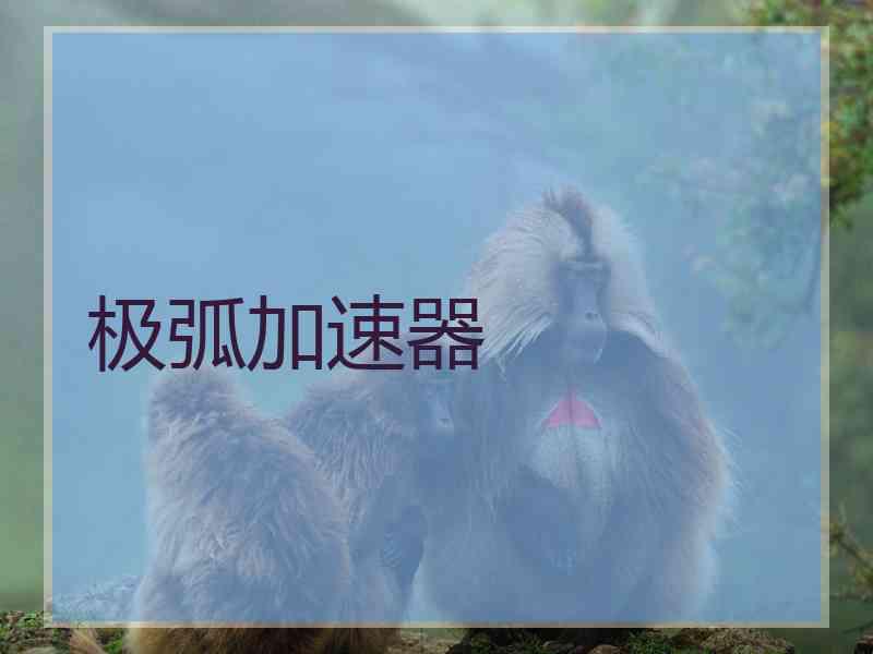 极弧加速器
