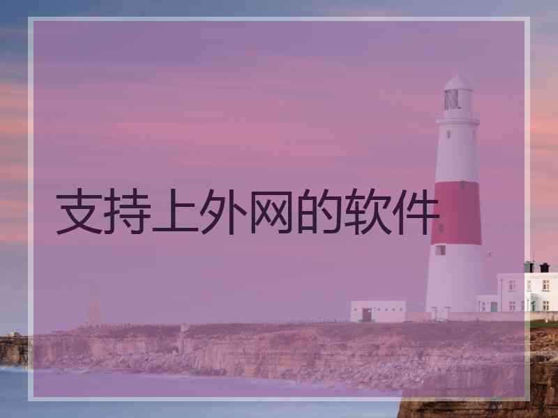 支持上外网的软件