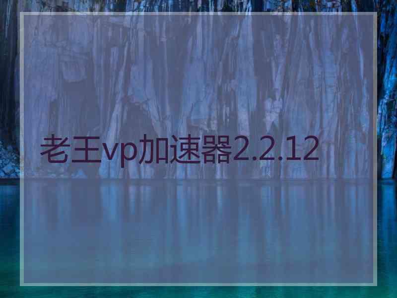 老王vp加速器2.2.12