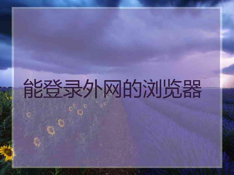 能登录外网的浏览器