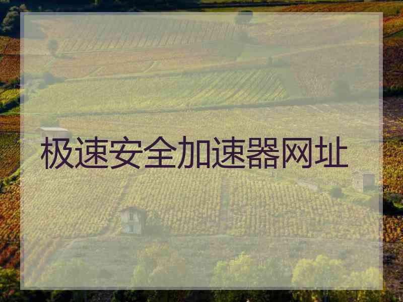 极速安全加速器网址
