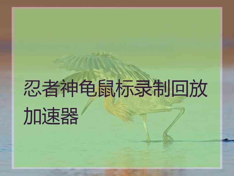 忍者神龟鼠标录制回放加速器