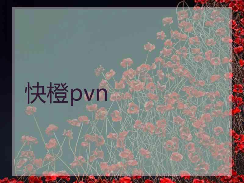 快橙pvn