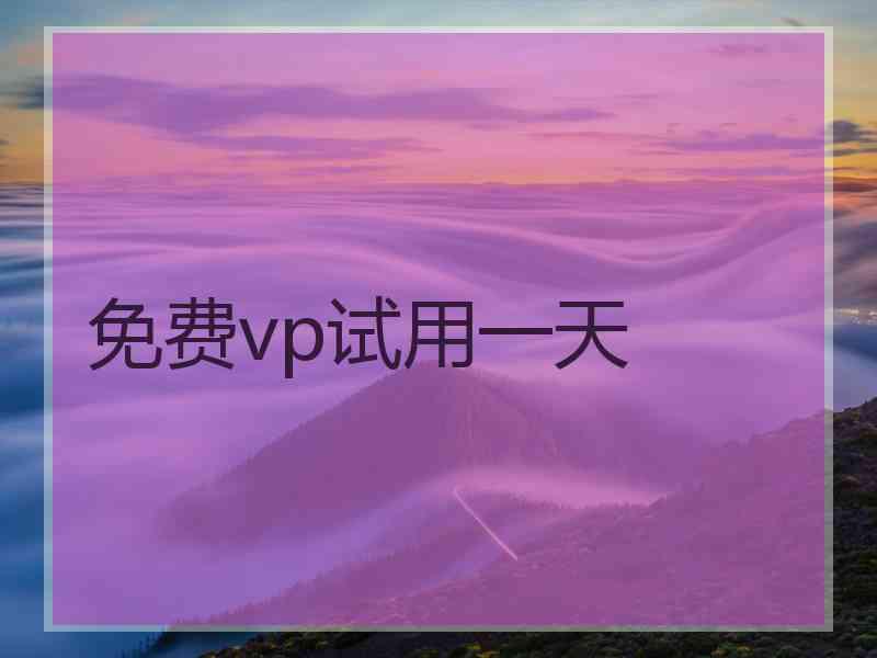 免费vp试用一天