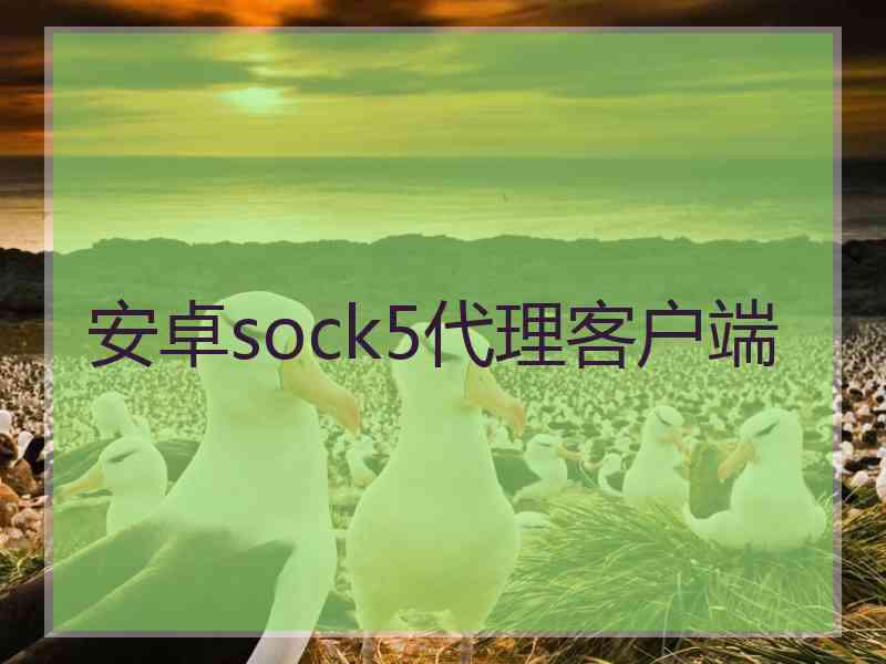 安卓sock5代理客户端