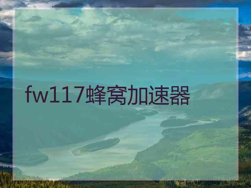 fw117蜂窝加速器