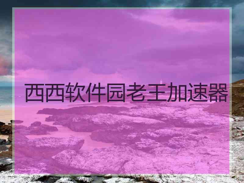 西西软件园老王加速器